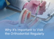 Why it's Important to Visit the Orthodontist Regularly